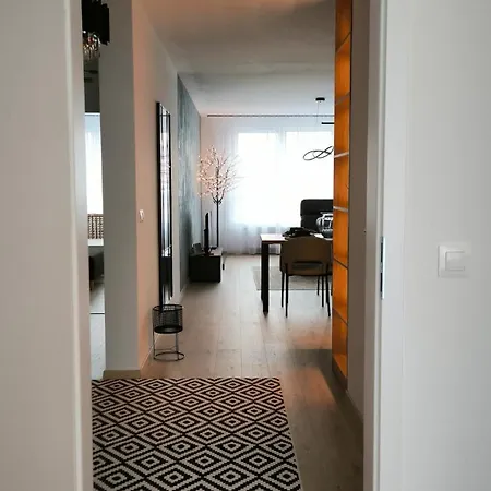 Rozlahly Apartman So Zahradkou, Zdarma Parkovne, Blizko Centra Apartment