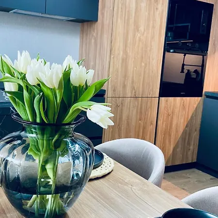 Rozlahly Apartman So Zahradkou, Zdarma Parkovne, Blizko Centra Trnava