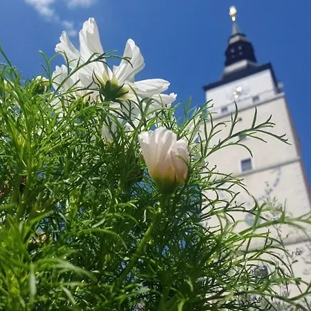 Rozlahly Apartman So Zahradkou, Zdarma Parkovne, Blizko Centra