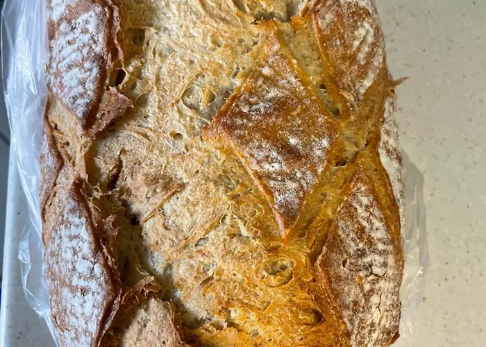 Lejlighed Exclusive & Garden Bliss & Near Center & Free Parking Trnava